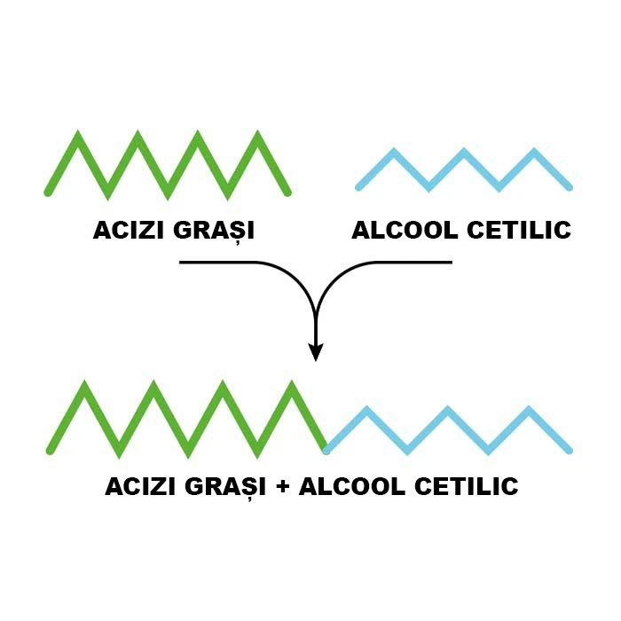 Esterificarea acizilor grași cu alcool cetilic